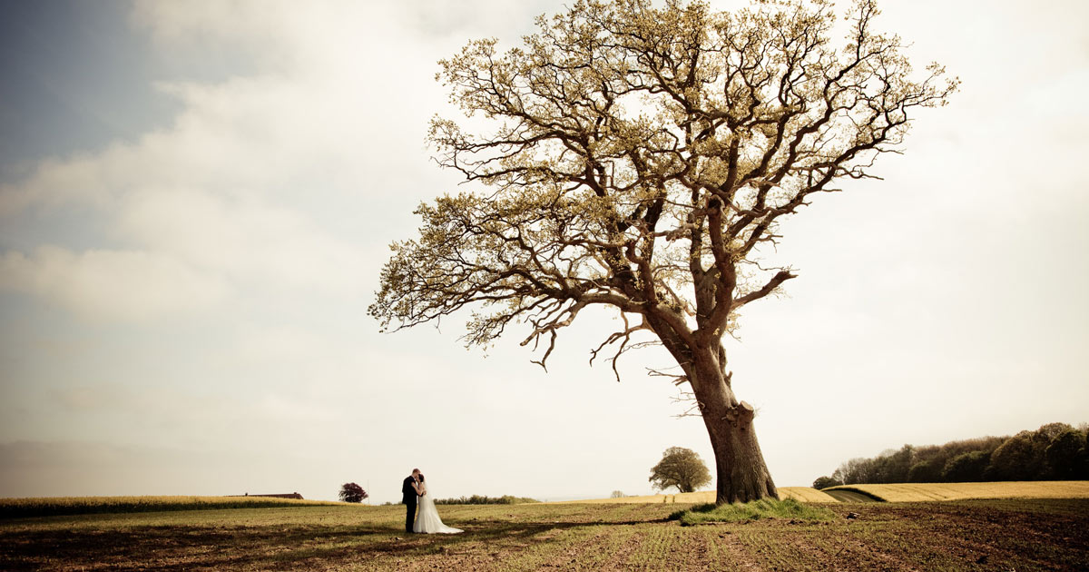 5 Top Tips for Throwing a Carbon Neutral Wedding Utterly Printable
