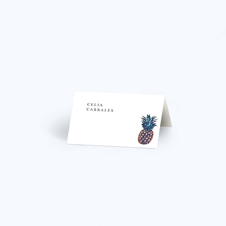 Personalised Wedding Table Place Card called "One Little Pineapple"