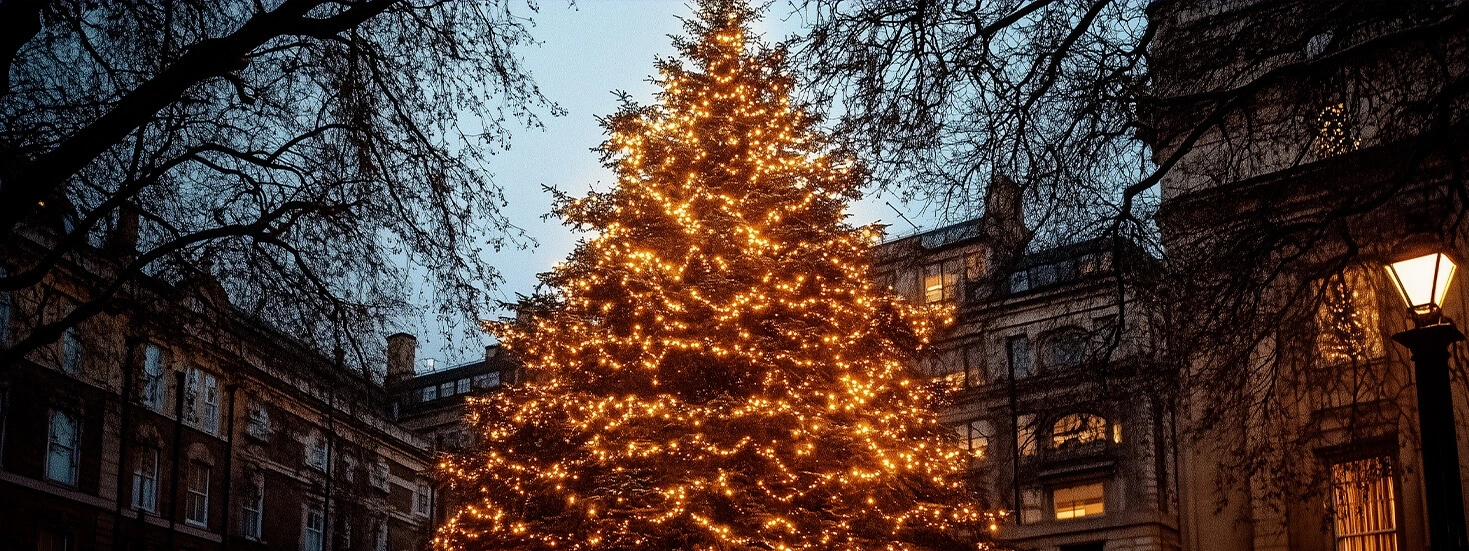 Beautifully lit Christmas tree in an urban square, symbolising holiday cheer and warmth