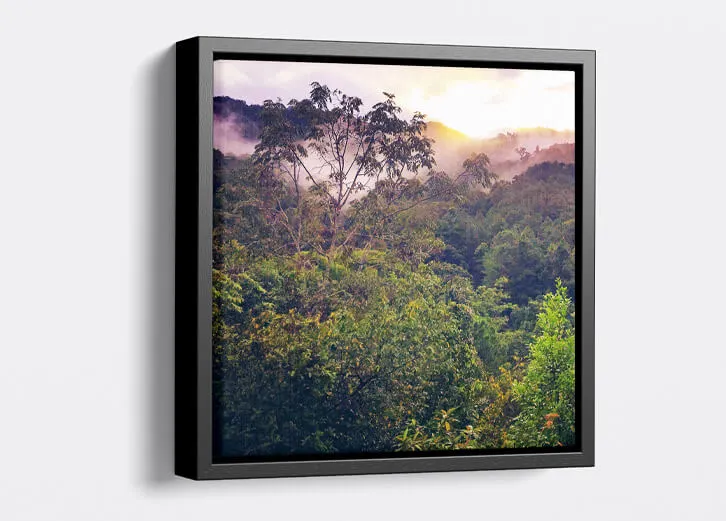 Framed photo canvas featuring a scenic sunset over a lush forest landscape