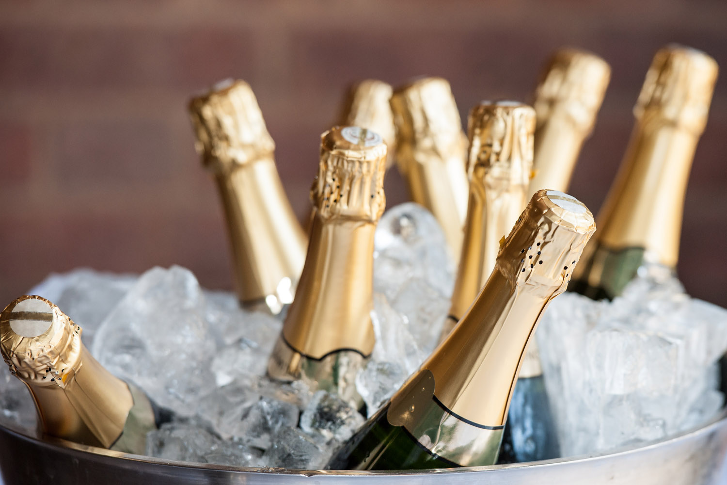 RSVP.studio weddings celebration with multiple champagne bottles in a metal bucket filled with ice, ready to be served