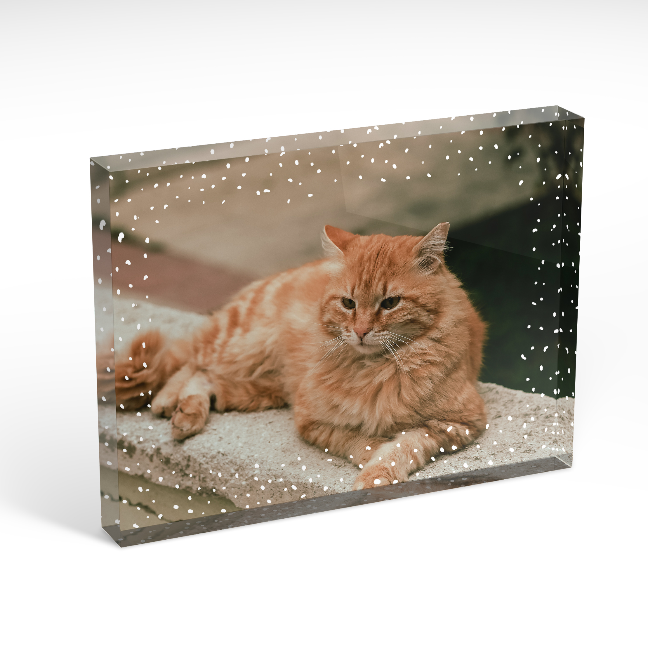 A front side view of a landscape layout Acrylic Photo Block with space for 1 photo. Thiis design is named 'Dotted'. 