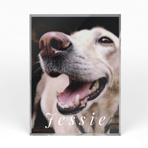 A front side view of a portrait layout Acrylic Photo Block with space for 1 photo. Thiis design is named "Whiskers and Wags". 