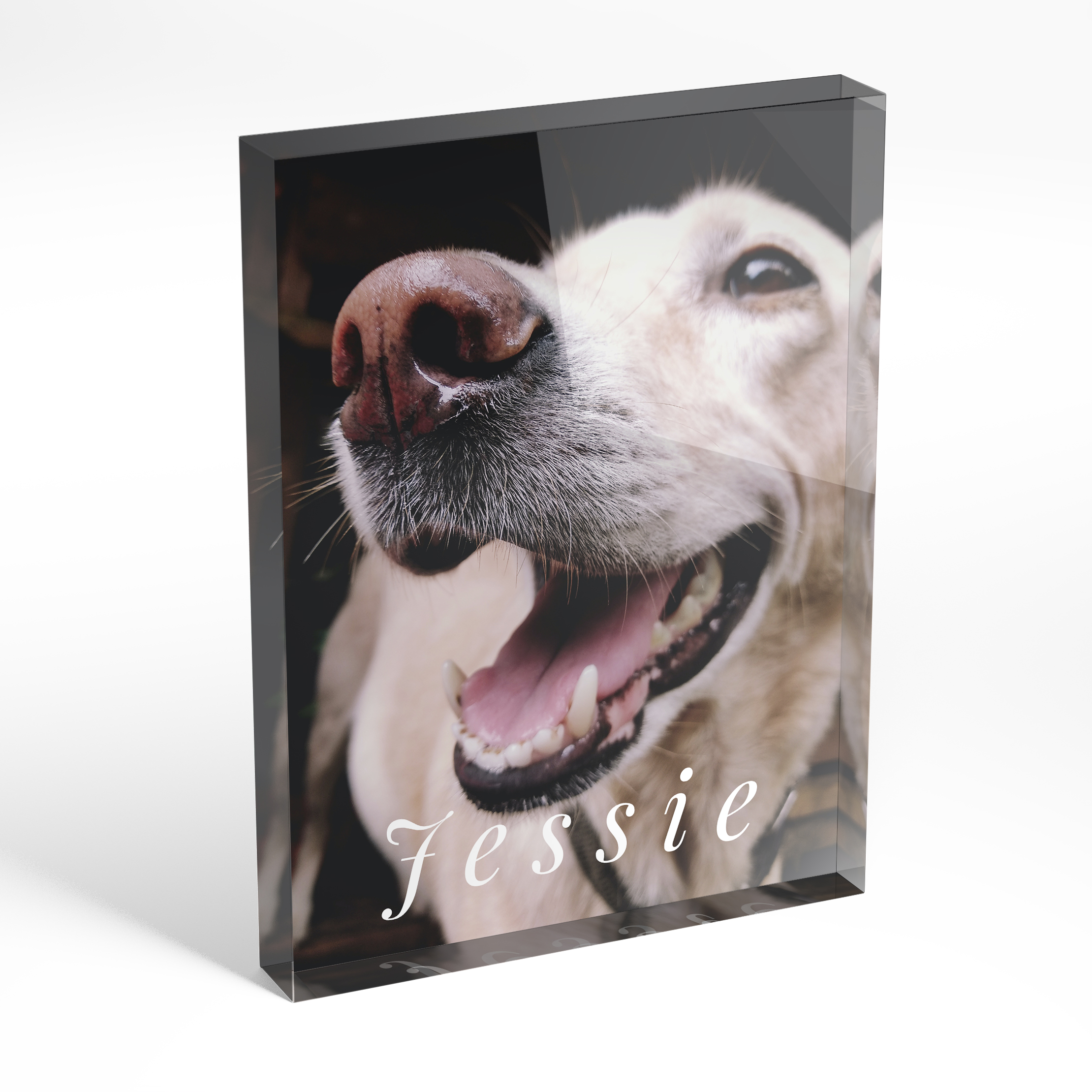 A front side view of a portrait layout Acrylic Photo Block with space for 1 photo. Thiis design is named 'Whiskers and Wags'. 