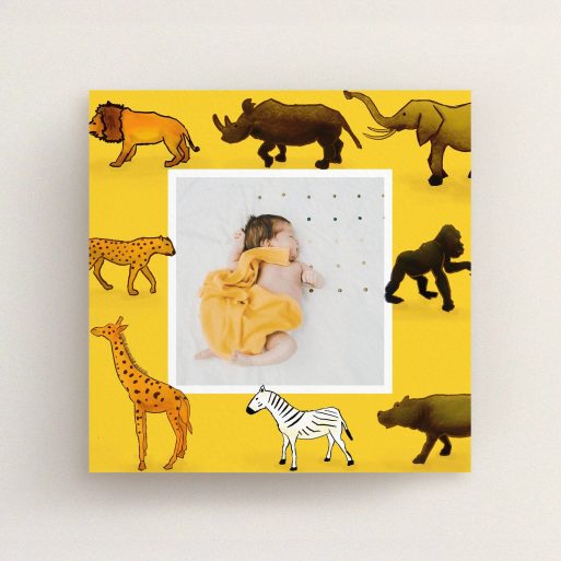 A birth announcement card template titled "Little Safari". It is a square (148mm x 148mm) card in a square orientation. It is a photographic birth announcement card with room for 1 photo. "Little Safari" is available as a flat card, with tones of yellow, orange and brown.