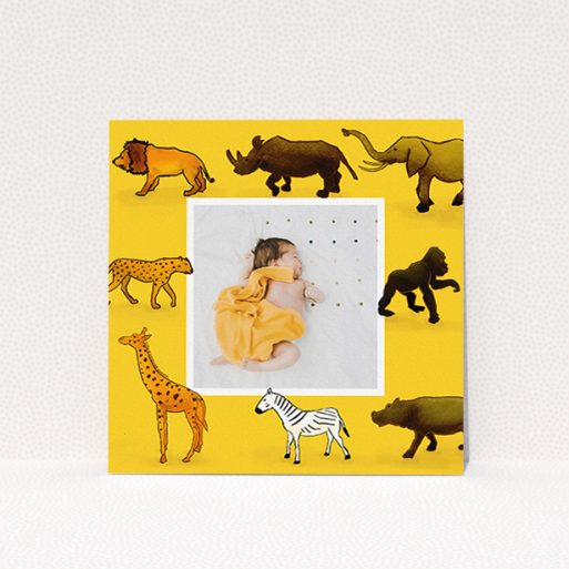 A birth announcement card template titled "Little Safari". It is a square (148mm x 148mm) card in a square orientation. It is a photographic birth announcement card with room for 1 photo. "Little Safari" is available as a flat card, with tones of yellow, orange and brown.