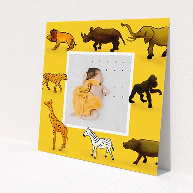A birth announcement card template titled 'Little Safari'. It is a square (148mm x 148mm) card in a square orientation. It is a photographic birth announcement card with room for 1 photo. 'Little Safari' is available as a flat card, with tones of yellow, orange and brown.