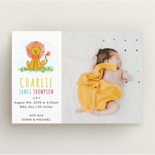 A birth announcement card design called "Playroom Lion". It is an A5 card in a landscape orientation. It is a photographic birth announcement card with room for 1 photo. "Playroom Lion" is available as a flat card, with tones of white and green.