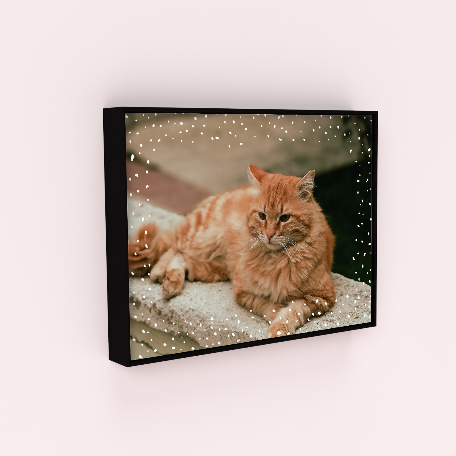 Dotted Framed Photo Canvases - Striking Visual Appeal for Heartfelt Moments