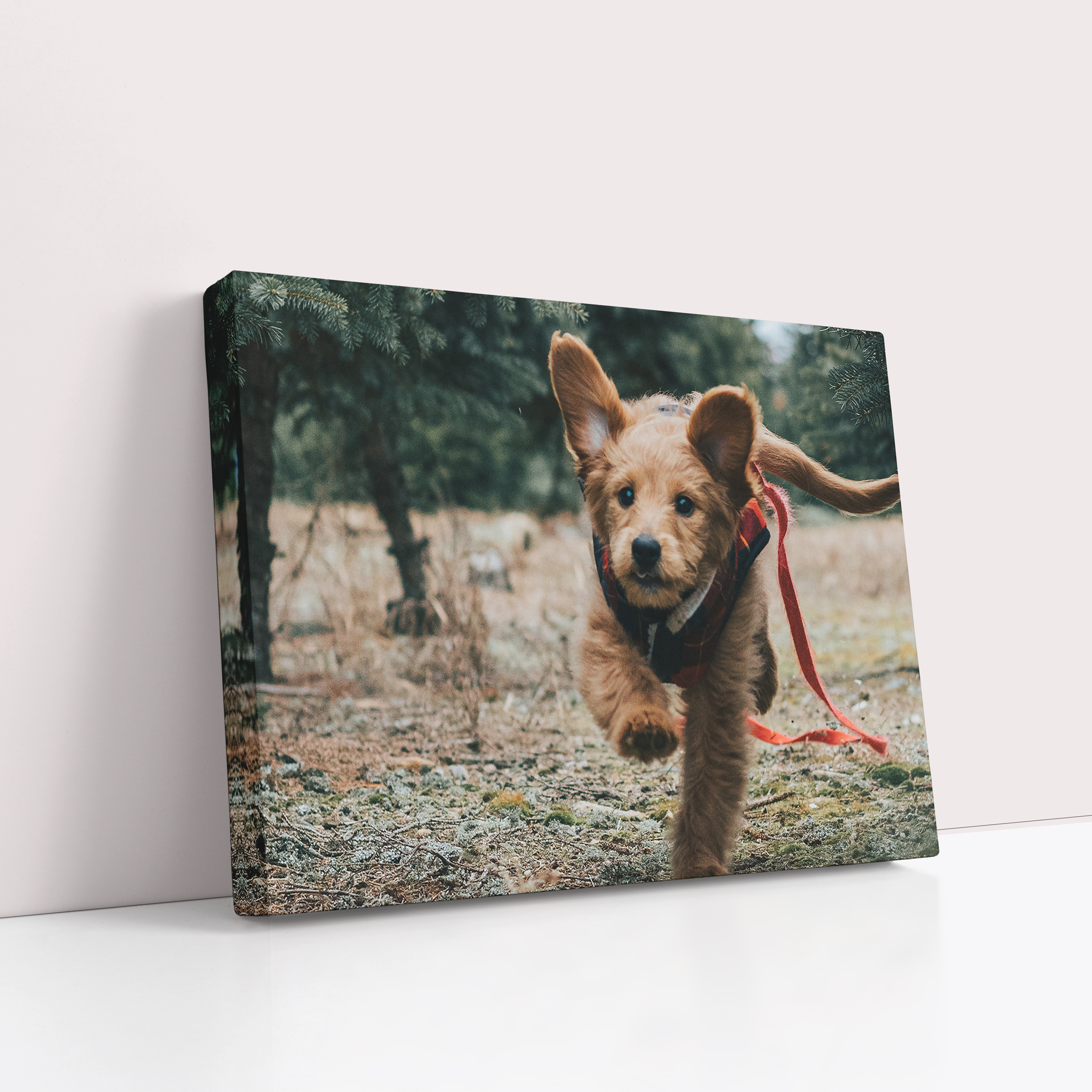Little Landscape Personalised Stretch Canvas Print - Preserve cherished memories with enduring beauty