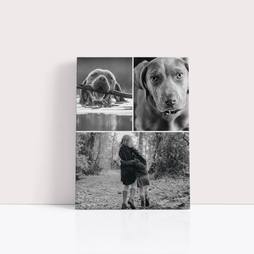 Photo of a canvas print called 'Print Memories'. It is 40cm x 30cm in size, in a Portrait orientation. It has space for 3 photos.