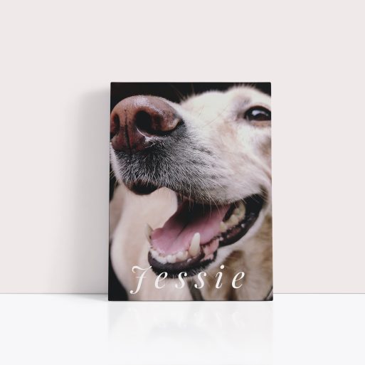 Whiskers and Wags Personalised Stretch Canvas Print – Celebrate the Love for Your Furry Friends