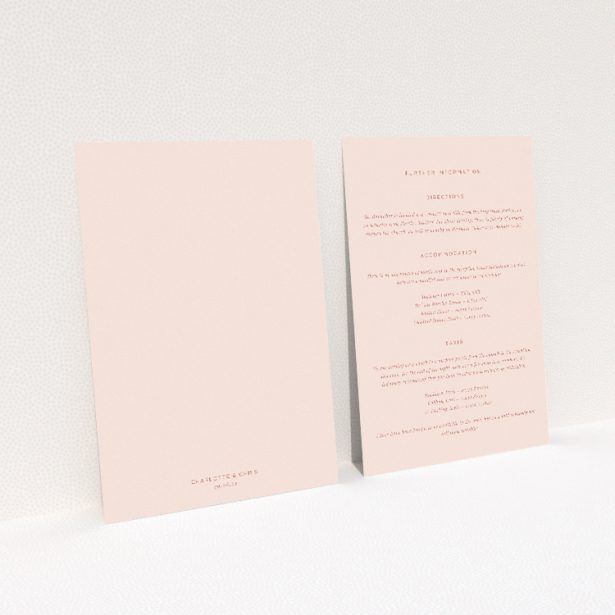 Carnaby Celebration information insert card - vibrant wedding stationery with warm terracotta tones and playful script. This image shows the front and back sides together