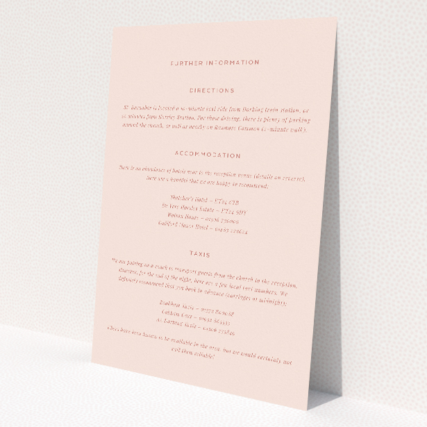 Carnaby Celebration information insert card - vibrant wedding stationery with warm terracotta tones and playful script. This image shows the front and back sides together