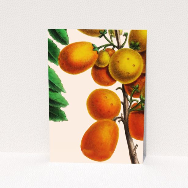 Change of address card design with vibrant fruit illustration - Portrait - reverse side featuring 1 decorative image