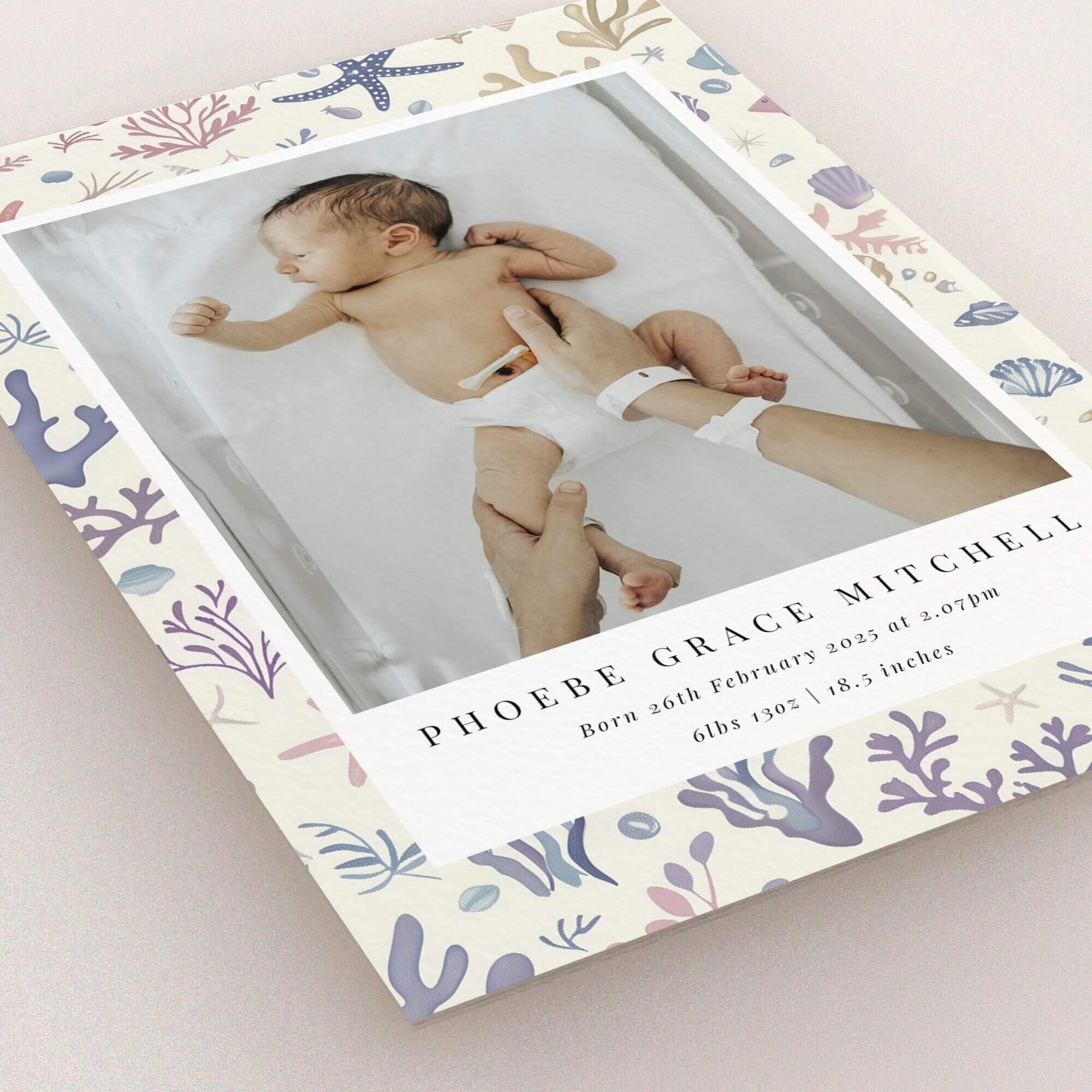 Seashell themed birth announcement card design with one photo of a newborn baby.