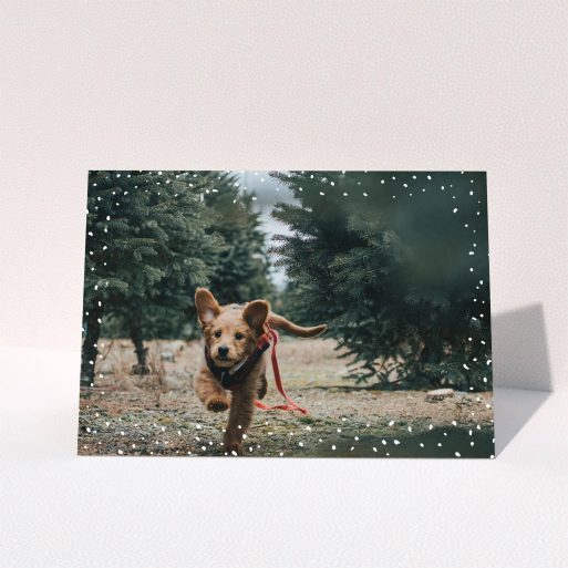 A custom christmas card design titled "Simple Snow Photo". It is an A5 card in a landscape orientation. It is a photographic custom christmas card with room for 1 photo. "Simple Snow Photo" is available as a folded card, with mainly white colouring.