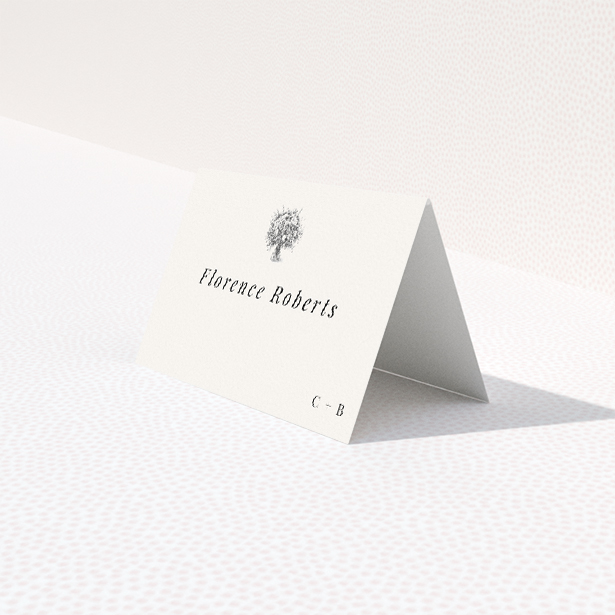 Dandelion Whispers place cards table template - delicate dandelion motif in soft grey palette for blend of classic style and contemporary minimalism. This is a third view of the front