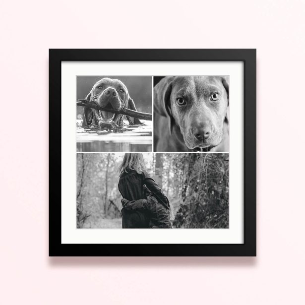 Framed and mounted photo print with three black and white images.