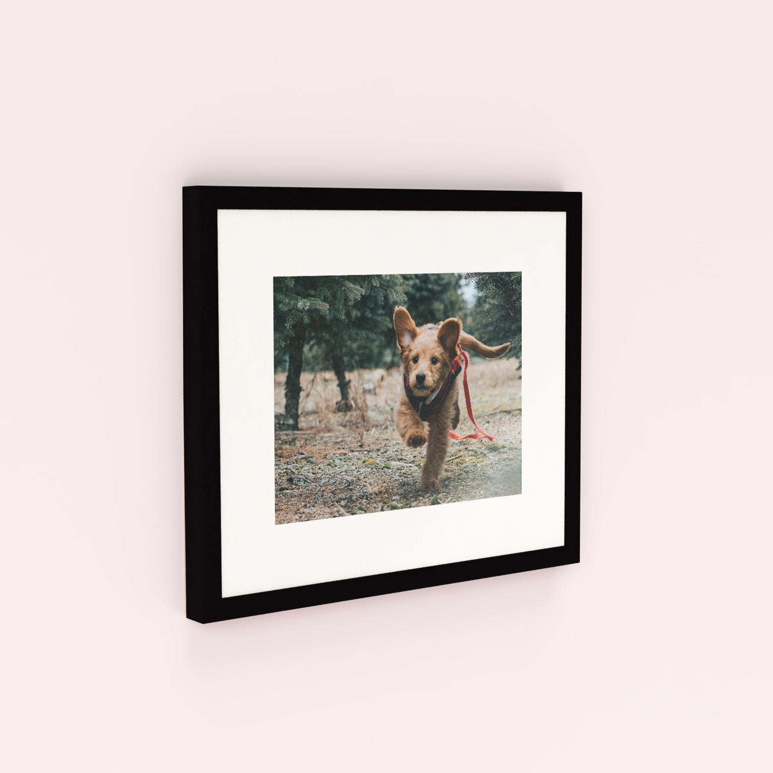 Little Landscape Framed Photo Print - Capture and preserve cherished memories with enduring acrylic glass design.