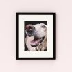 Photo of a framed photo print called 'Whiskers and Wags'. It is 40cm x 30cm in size, in a Portrait orientation. It has space for 1 photos.