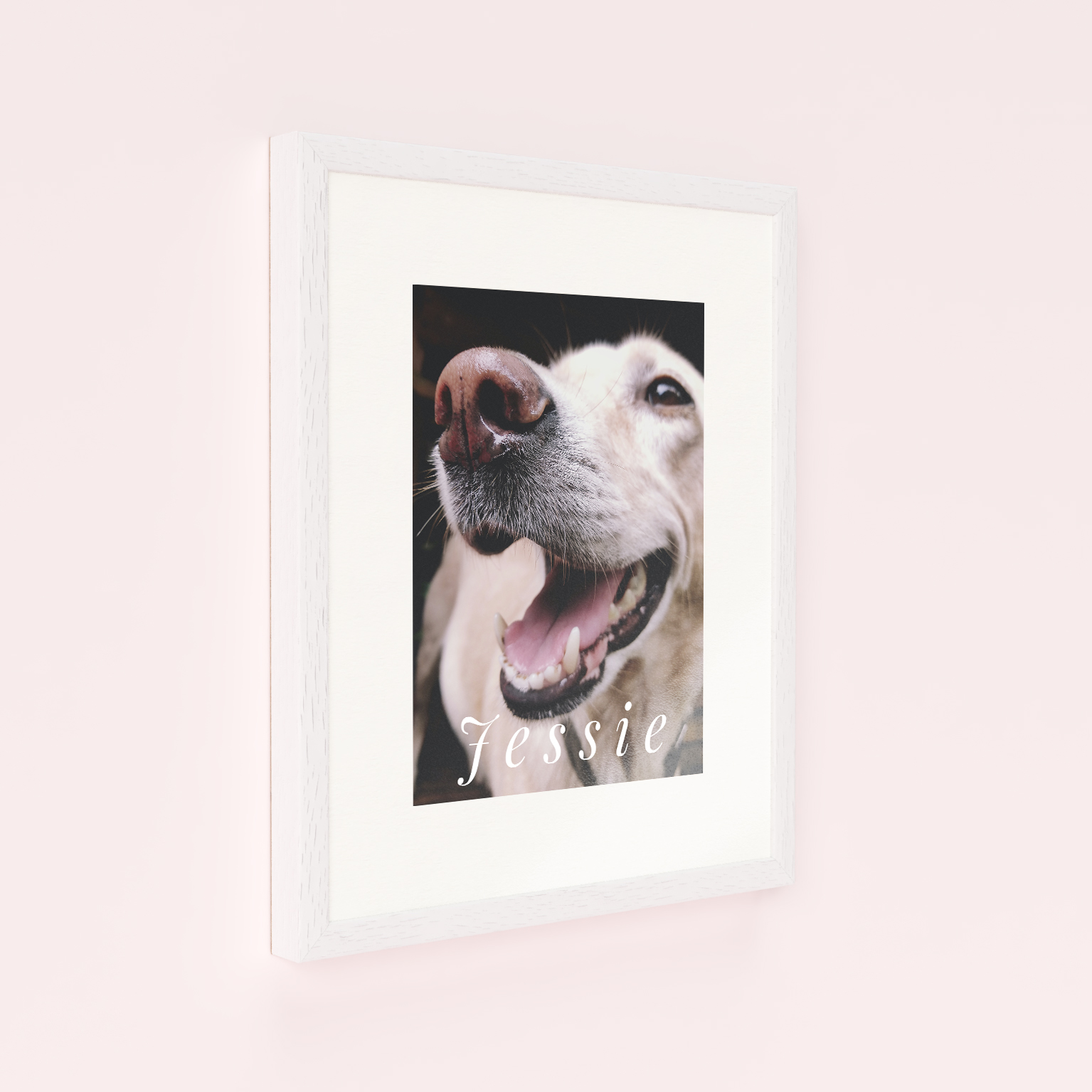 Photo of a framed photo print called 'Whiskers and Wags'. It is 40cm x 30cm in size, in a Portrait orientation. It has space for 1 photos.