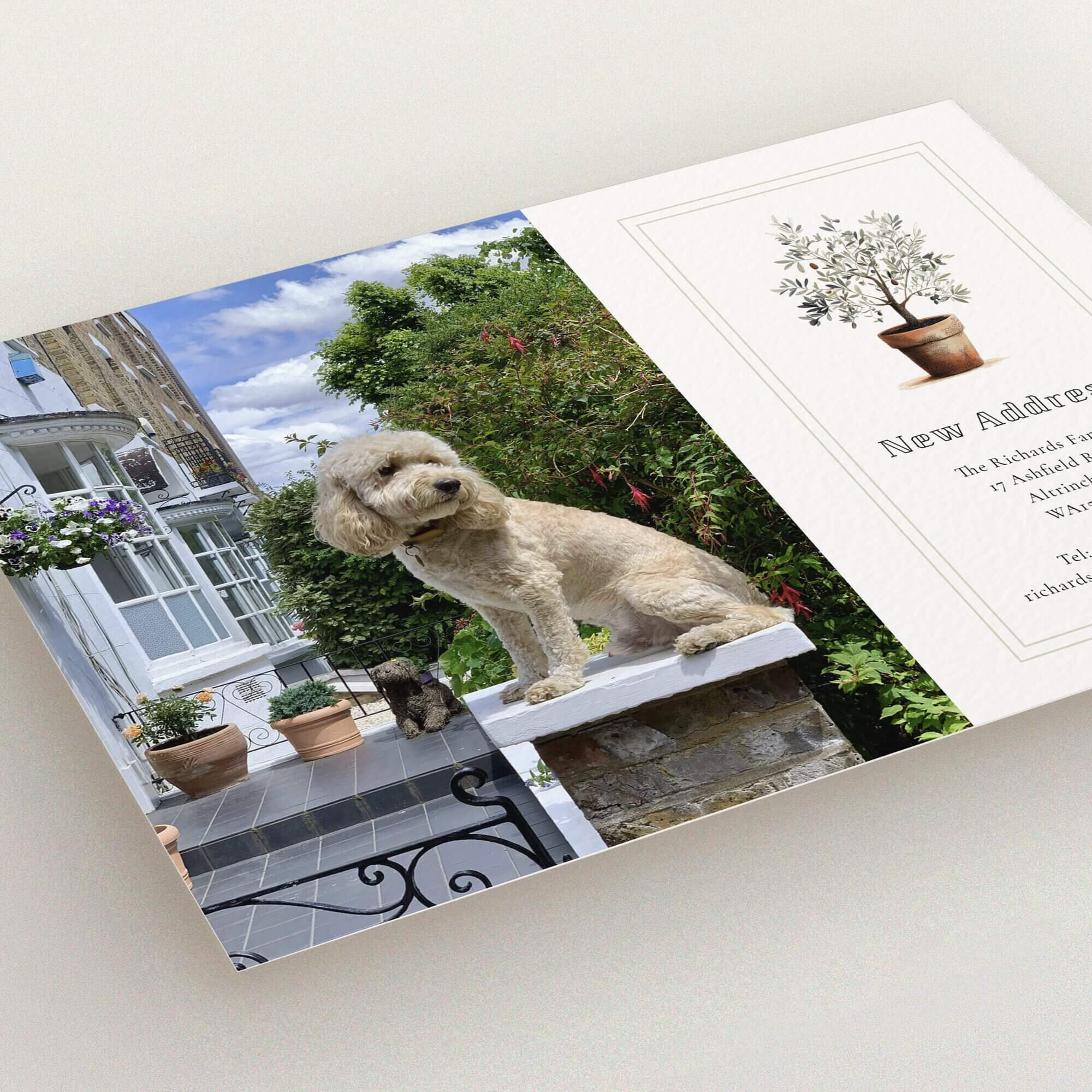 Change of address card featuring an illustration of a potted plant and a single photo of a dog in a garden setting.