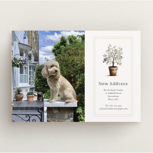 Elegant Address Card Change of address card featuring an illustration of a potted plant and a single photo of a dog in a garden setting.
