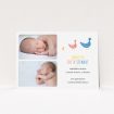A new baby announcement card design titled "Family of Ducks". It is an A5 card in a landscape orientation. It is a photographic new baby announcement card with room for 2 photos. "Family of Ducks" is available as a flat card, with tones of white and blue.