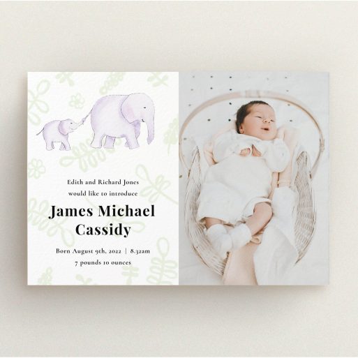 A new baby announcement card named "Gotcha by the Tail". It is an A5 card in a landscape orientation. It is a photographic new baby announcement card with room for 1 photo. "Gotcha by the Tail" is available as a flat card, with tones of white, green and grey.