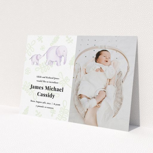 A new baby announcement card named 'Gotcha by the Tail'. It is an A5 card in a landscape orientation. It is a photographic new baby announcement card with room for 1 photo. 'Gotcha by the Tail' is available as a flat card, with tones of white, green and grey.