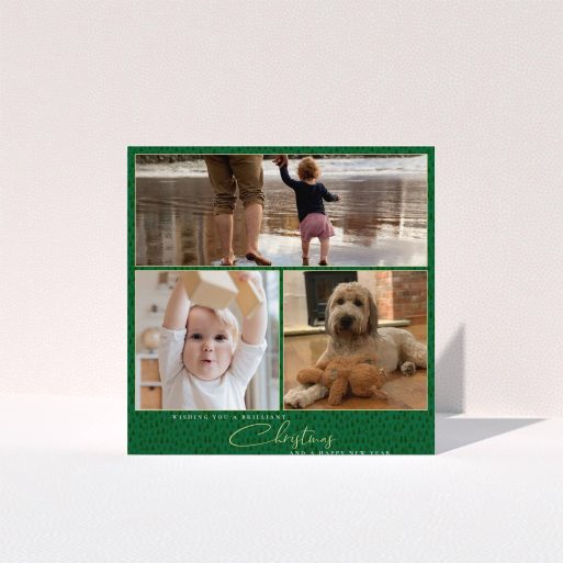 A personalised christmas card design titled "Boreal Forrest". It is a square (148mm x 148mm) card in a square orientation. It is a photographic personalised christmas card with room for 3 photos. "Boreal Forrest" is available as a folded card, with tones of green and gold.