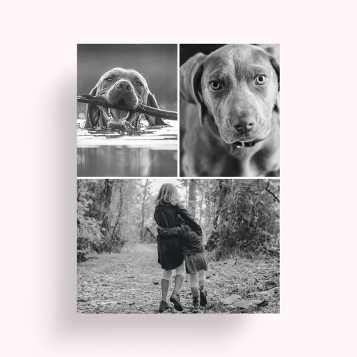 Photo of a personalised photo poster called 'Print Memories'. It is A4 in size, in a Portrait orientation. It has space for 3 photos.