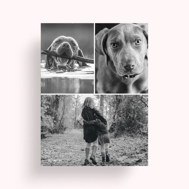 Photo of a personalised photo poster called 'Print Memories'. It is A4 in size, in a Portrait orientation. It has space for 3 photos.