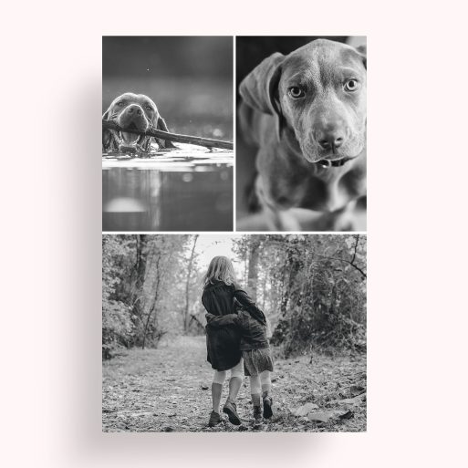 Photo of a personalised photo poster called 'Print Memories'. It is A4 in size, in a Portrait orientation. It has space for 3 photos.