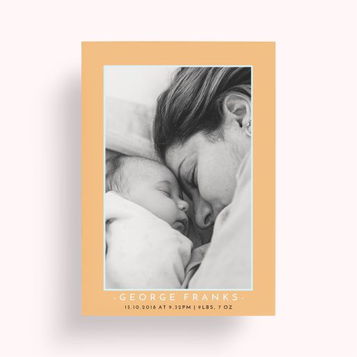 Photo of a personalised photo poster called 'Orange and Mint'. It is A1 in size, in a Portrait orientation. It has space for 1 photos.