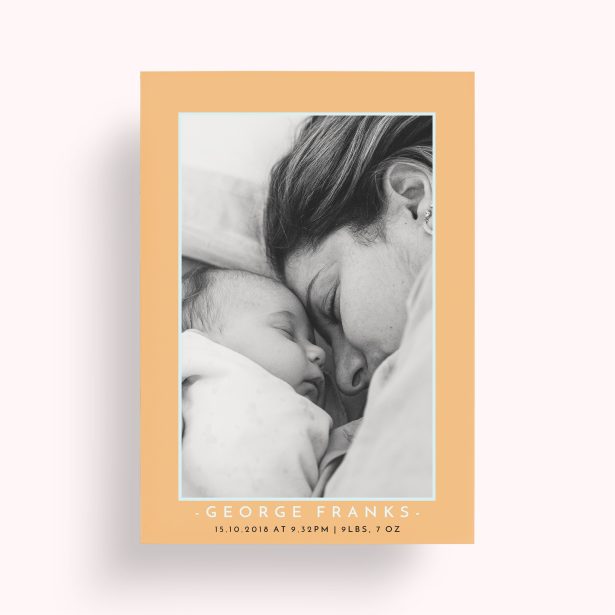 Photo of a personalised photo poster called 'Orange and Mint'. It is A1 in size, in a Portrait orientation. It has space for 1 photos.