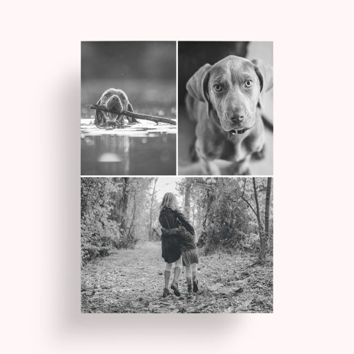 Photo of a personalised photo poster called 'Print Memories'. It is A1 in size, in a Portrait orientation. It has space for 3 photos.