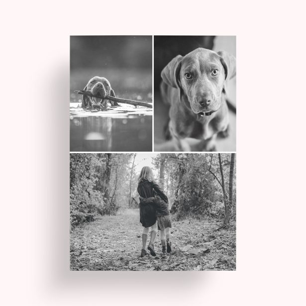 Photo of a personalised photo poster called 'Print Memories'. It is A1 in size, in a Portrait orientation. It has space for 3 photos.