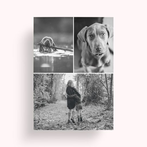 Photo of a personalised photo poster called 'Print Memories'. It is A2 in size, in a Portrait orientation. It has space for 3 photos.