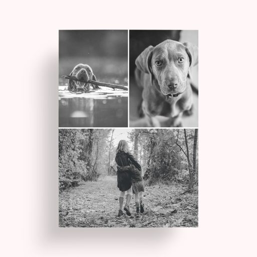Print Memories Personalised Photo Poster - Transform your space with this eco-friendly poster showcasing three cherished photos.
