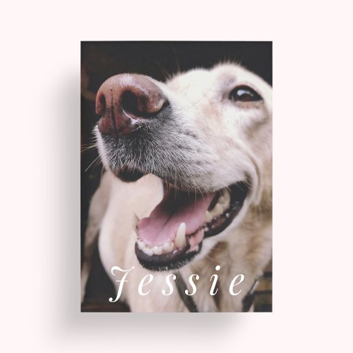Whiskers and Wags Personalised Photo Poster - Capture Joyful Moments with Your Furry Friend