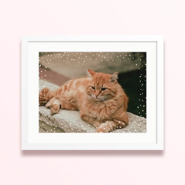 polka dot frame framed mounted photo print cat 400x300 landscape white - Polka Dot Frame