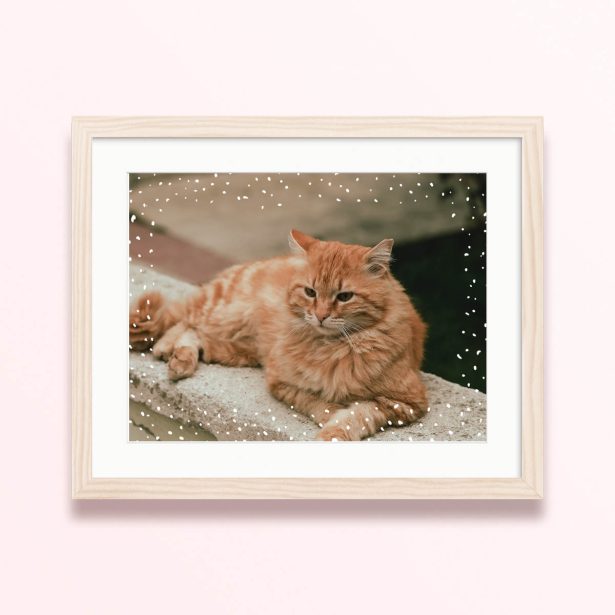 polka dot frame framed mounted photo print cat 400x300 landscape wood - Polka Dot Frame