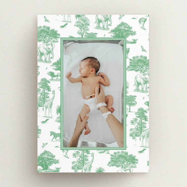 Safari-themed birth announcement card design with one photo of a baby.