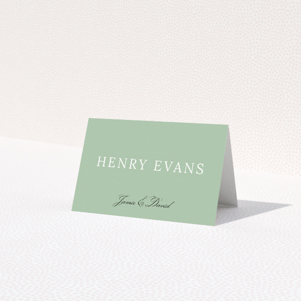 Sage Grace Place Cards - contemporary elegance for wedding decor. This is a view of the front