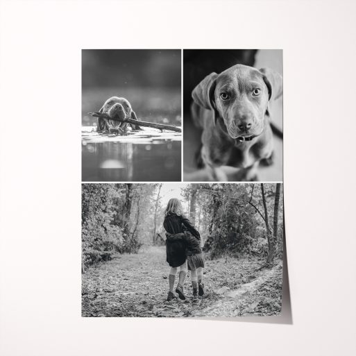 Print Memories High-Resolution Silver Halide Poster - Showcase treasured moments with this portrait-oriented poster featuring space for three photos. Crafted with premium silver halide printing for unparalleled clarity and durability.