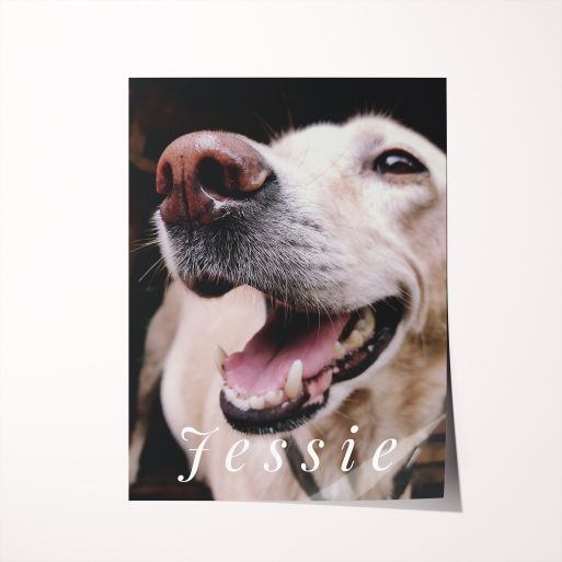Whiskers and Wags High-Resolution Silver Halide Poster - Personalized Pet Love Keepsake