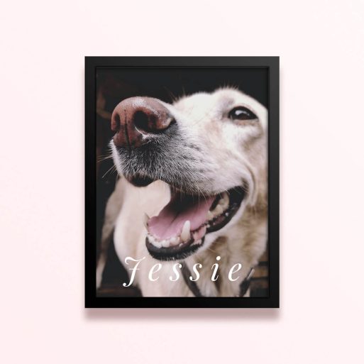 Simple framed print designs featuring a close-up photo of a dog named Jessie