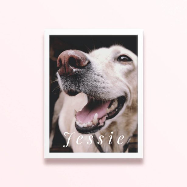 Simple framed print designs featuring a close-up photo of a dog named Jessie